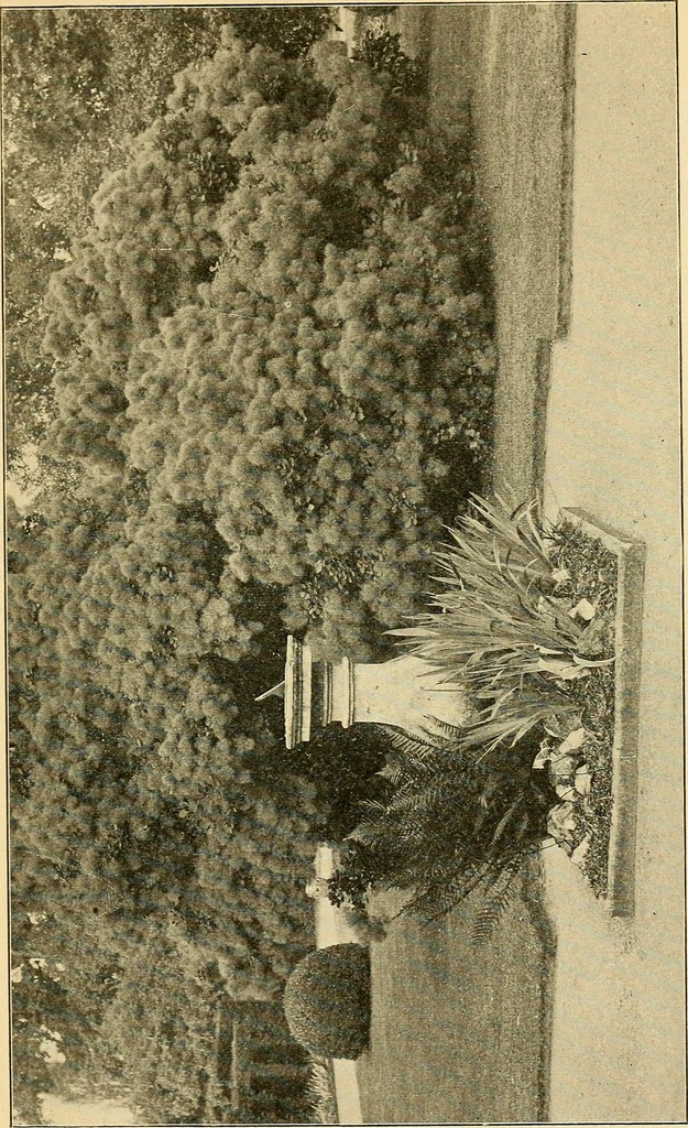 An illustration from Sun dials and roses of yesterday; garden delights which are here displayed in every truth and are moreover regarded as emblems, 1902, leaf 336