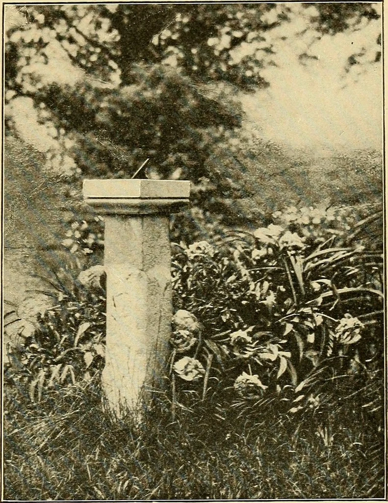 An illustration from Sun dials and roses of yesterday; garden delights which are here displayed in every truth and are moreover regarded as emblems, 1902, leaf 338