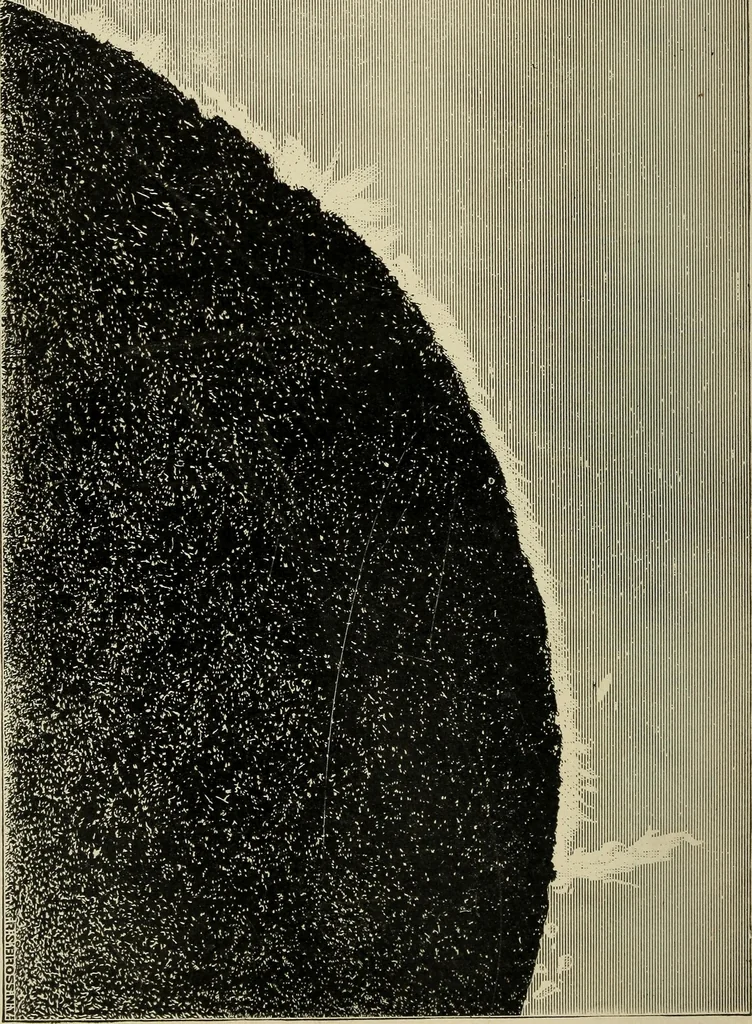 An illustration from Sun, moon, and stars. Astronomy for beginners, 1893, leaf 169