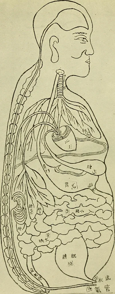 An illustration from Sun Yat Sen and the awakening of China, 1912, leaf 232