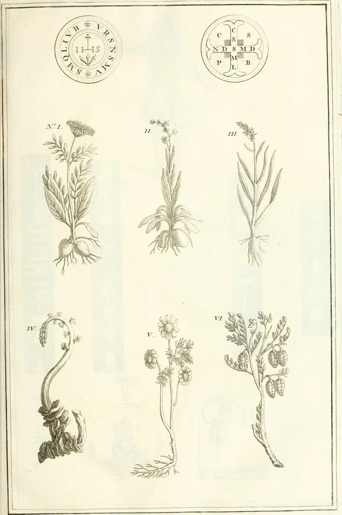 An illustration from Superstitions anciennes et modernes : prejugés vulgaires, qui ont induit les peuples à des usages & à des pratiques contraires à la religion, 1733, leaf 102