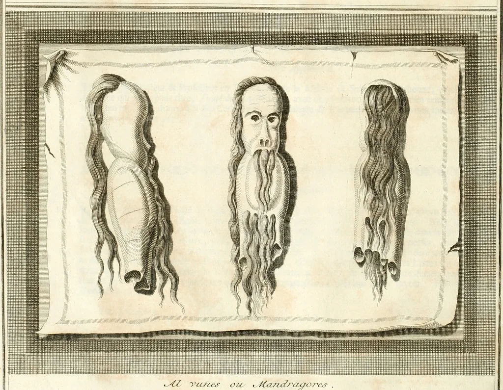 An illustration from Superstitions anciennes et modernes : prejugés vulgaires, qui ont induit les peuples à des usages & à des pratiques contraires à la religion, 1733, leaf 167