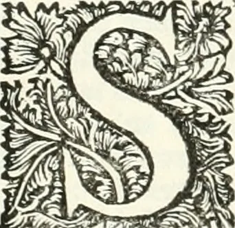 An illustration from Superstitions anciennes et modernes : prejugés vulgaires, qui ont induit les peuples à des usages & à des pratiques contraires à la religion, 1733, leaf 207