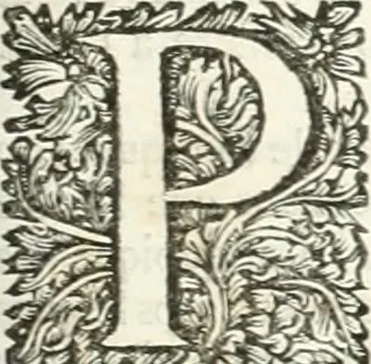 An illustration from Superstitions anciennes et modernes : prejugés vulgaires, qui ont induit les peuples à des usages & à des pratiques contraires à la religion, 1733, leaf 228