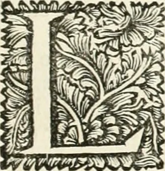 An illustration from Superstitions anciennes et modernes : prejugés vulgaires, qui ont induit les peuples à des usages & à des pratiques contraires à la religion, 1733, leaf 30