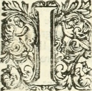 An illustration from Superstitions anciennes et modernes : prejugés vulgaires, qui ont induit les peuples à des usages & à des pratiques contraires à la religion, 1733, leaf 314