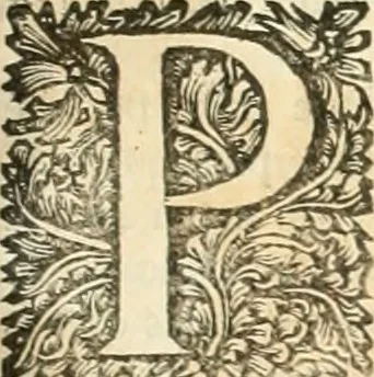 An illustration from Superstitions anciennes et modernes : prejugés vulgaires, qui ont induit les peuples à des usages & à des pratiques contraires à la religion, 1733, leaf 406