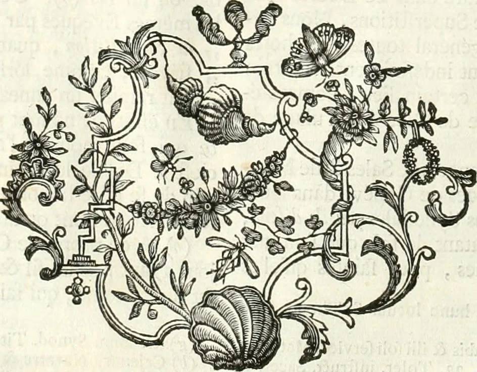 An illustration from Superstitions anciennes et modernes : prejugés vulgaires, qui ont induit les peuples à des usages & à des pratiques contraires à la religion, 1733, leaf 49