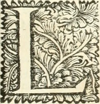 An illustration from Superstitions anciennes et modernes : prejugés vulgaires, qui ont induit les peuples à des usages & à des pratiques contraires à la religion, 1733, leaf 538