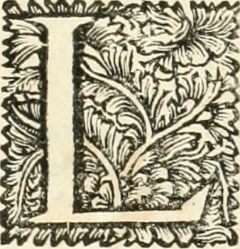 An illustration from Superstitions anciennes et modernes : prejugés vulgaires, qui ont induit les peuples à des usages & à des pratiques contraires à la religion, 1733, leaf 581