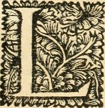 An illustration from Superstitions anciennes et modernes : prejugés vulgaires, qui ont induit les peuples à des usages & à des pratiques contraires à la religion, 1733, leaf 612
