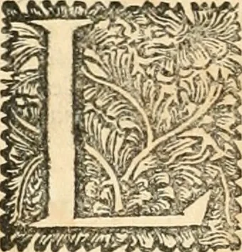 An illustration from Superstitions anciennes et modernes : prejugés vulgaires, qui ont induit les peuples à des usages & à des pratiques contraires à la religion, 1733, leaf 645