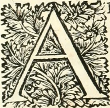 An illustration from Superstitions anciennes et modernes : prejugés vulgaires, qui ont induit les peuples à des usages & à des pratiques contraires à la religion, 1733, leaf 699