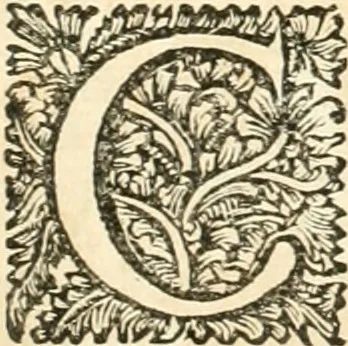 An illustration from Superstitions anciennes et modernes : prejugés vulgaires, qui ont induit les peuples à des usages & à des pratiques contraires à la religion, 1733, leaf 739