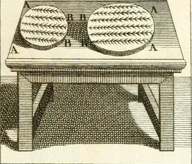 An illustration from Superstitions anciennes et modernes : prejugés vulgaires, qui ont induit les peuples à des usages & à des pratiques contraires à la religion, 1733, leaf 86