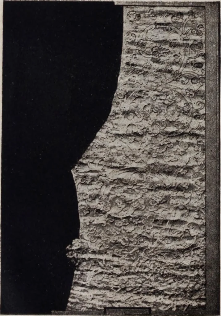 An illustration from A supplemental descriptive catalogue of specimens of lace acquired for the South Kensington museum, between June 1880 and June 1890 / By Alan S. Cole, 1891, leaf 31