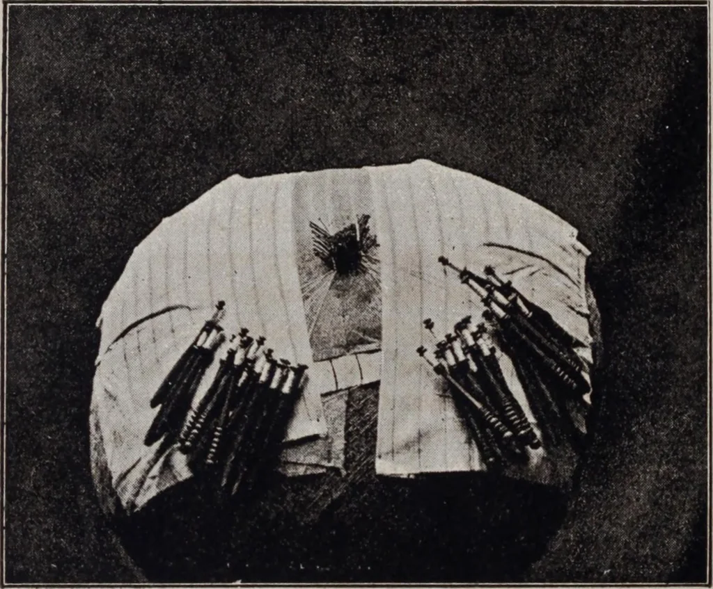 An illustration from A supplemental descriptive catalogue of specimens of lace acquired for the South Kensington museum, between June 1880 and June 1890 / By Alan S. Cole, 1891, leaf 71