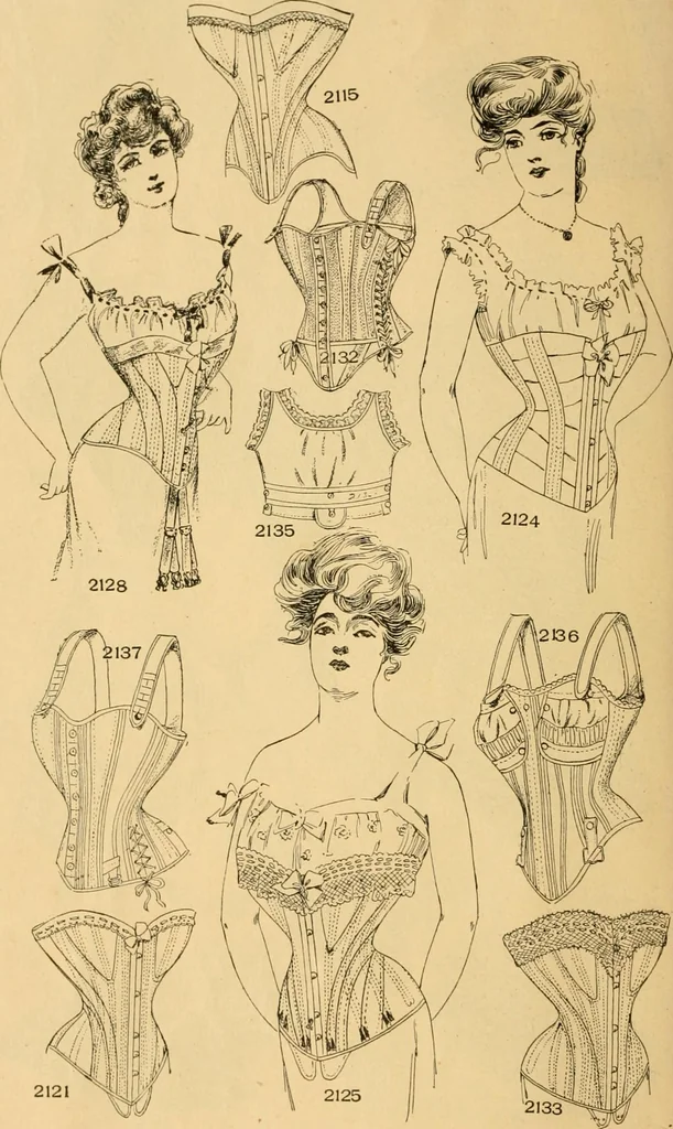 An illustration from Supplementary catalogue : Fall and Winter, 1902-3, 1902, leaf 15