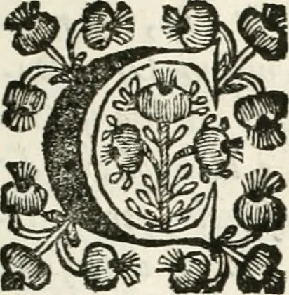 An illustration from Supplemento istorico dell'antica città di Forlì : in cui si descriue la provincia di Romagna ... : con la serie in fine dell' armi gentilizie di tutte le famiglie nobili viuenti, & alcune dell' estinte, e col catalogo de' vescoui e gouernatori ecclesiastici della medesima citta, 1678, leaf 10