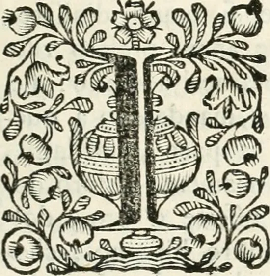 An illustration from Supplemento istorico dell'antica città di Forlì : in cui si descriue la provincia di Romagna ... : con la serie in fine dell' armi gentilizie di tutte le famiglie nobili viuenti, & alcune dell' estinte, e col catalogo de' vescoui e gouernatori ecclesiastici della medesima citta, 1678, leaf 136
