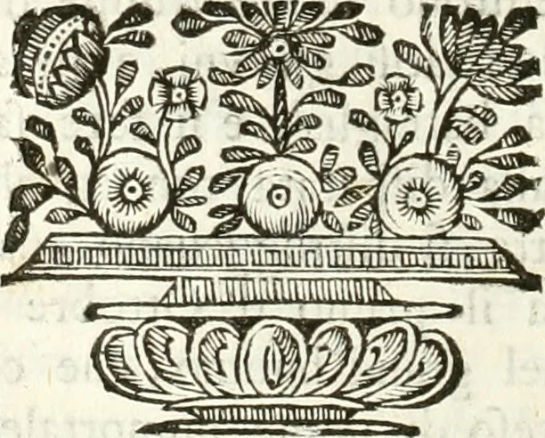 An illustration from Supplemento istorico dell'antica città di Forlì : in cui si descriue la provincia di Romagna ... : con la serie in fine dell' armi gentilizie di tutte le famiglie nobili viuenti, & alcune dell' estinte, e col catalogo de' vescoui e gouernatori ecclesiastici della medesima citta, 1678, leaf 261