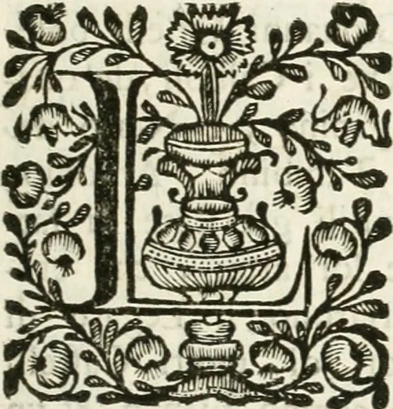 An illustration from Supplemento istorico dell'antica città di Forlì : in cui si descriue la provincia di Romagna ... : con la serie in fine dell' armi gentilizie di tutte le famiglie nobili viuenti, & alcune dell' estinte, e col catalogo de' vescoui e gouernatori ecclesiastici della medesima citta, 1678, leaf 316