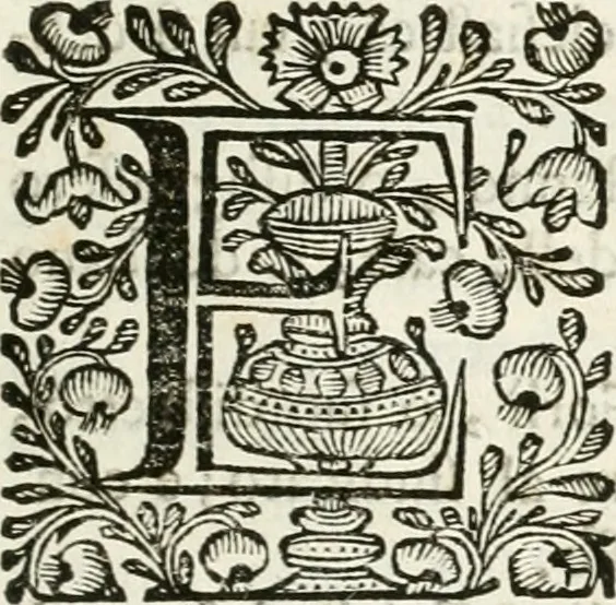 An illustration from Supplemento istorico dell'antica città di Forlì : in cui si descriue la provincia di Romagna ... : con la serie in fine dell' armi gentilizie di tutte le famiglie nobili viuenti, & alcune dell' estinte, e col catalogo de' vescoui e gouernatori ecclesiastici della medesima citta, 1678, leaf 394