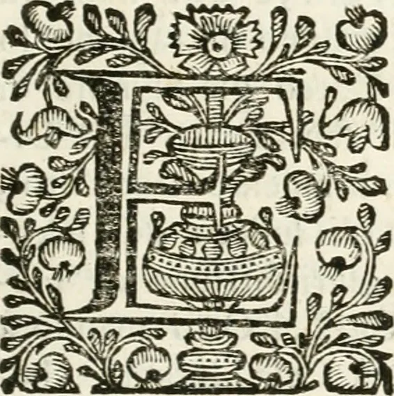 An illustration from Supplemento istorico dell'antica città di Forlì : in cui si descriue la provincia di Romagna ... : con la serie in fine dell' armi gentilizie di tutte le famiglie nobili viuenti, & alcune dell' estinte, e col catalogo de' vescoui e gouernatori ecclesiastici della medesima citta, 1678, leaf 526
