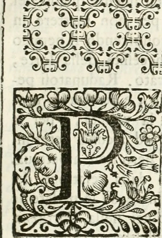 An illustration from Supplemento istorico dell'antica città di Forlì : in cui si descriue la provincia di Romagna ... : con la serie in fine dell' armi gentilizie di tutte le famiglie nobili viuenti, & alcune dell' estinte, e col catalogo de' vescoui e gouernatori ecclesiastici della medesima citta, 1678, leaf 596