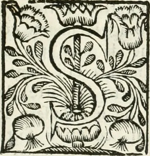 An illustration from Supplemento istorico dell'antica città di Forlì : in cui si descriue la provincia di Romagna ... : con la serie in fine dell' armi gentilizie di tutte le famiglie nobili viuenti, & alcune dell' estinte, e col catalogo de' vescoui e gouernatori ecclesiastici della medesima citta, 1678, leaf 664