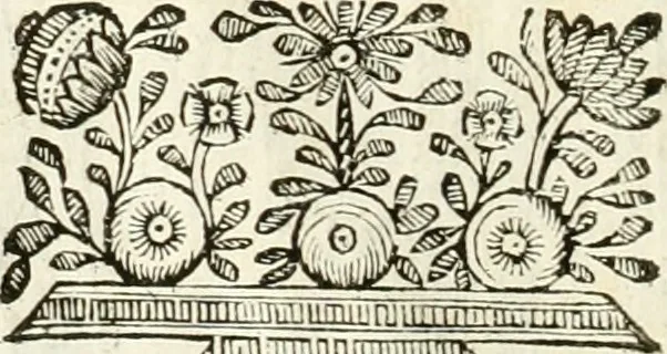 An illustration from Supplemento istorico dell'antica città di Forlì : in cui si descriue la provincia di Romagna ... : con la serie in fine dell' armi gentilizie di tutte le famiglie nobili viuenti, & alcune dell' estinte, e col catalogo de' vescoui e gouernatori ecclesiastici della medesima citta, 1678, leaf 75