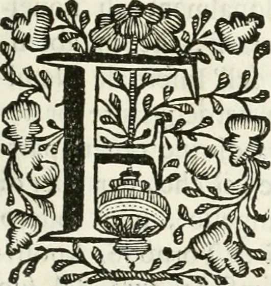 An illustration from Supplemento istorico dell'antica città di Forlì : in cui si descriue la provincia di Romagna ... : con la serie in fine dell' armi gentilizie di tutte le famiglie nobili viuenti, & alcune dell' estinte, e col catalogo de' vescoui e gouernatori ecclesiastici della medesima citta, 1678, leaf 76
