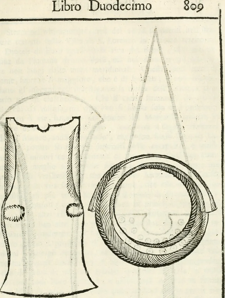 An illustration from Supplemento istorico dell'antica città di Forlì : in cui si descriue la provincia di Romagna ... : con la serie in fine dell' armi gentilizie di tutte le famiglie nobili viuenti, & alcune dell' estinte, e col catalogo de' vescoui e gouernatori ecclesiastici della medesima citta, 1678, leaf 822