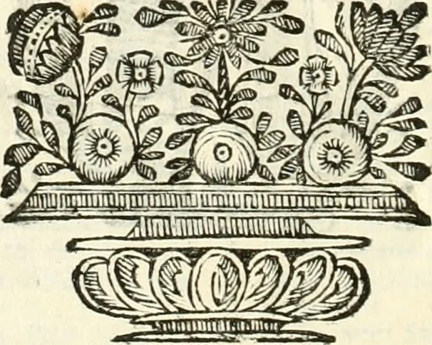 An illustration from Supplemento istorico dell'antica città di Forlì : in cui si descriue la provincia di Romagna ... : con la serie in fine dell' armi gentilizie di tutte le famiglie nobili viuenti, & alcune dell' estinte, e col catalogo de' vescoui e gouernatori ecclesiastici della medesima citta, 1678, leaf 969