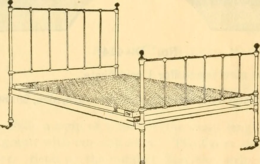 An illustration from Supplement to 1905 catalogue., 1905, leaf 17