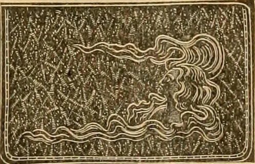An illustration from Supplement to 1905 catalogue., 1905, leaf 20
