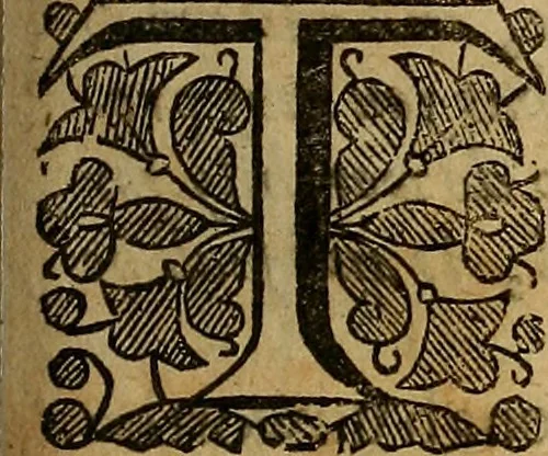 An illustration from A support for the sinking heart in times of distresse : or, A sermon preached in London, to uphold hope and allay feare, January 4th, which was a day of great trouble and deepe danger in the city, 1642, leaf 184