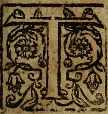 An illustration from A support for the sinking heart in times of distresse : or, A sermon preached in London, to uphold hope and allay feare, January 4th, which was a day of great trouble and deepe danger in the city, 1642, leaf 226