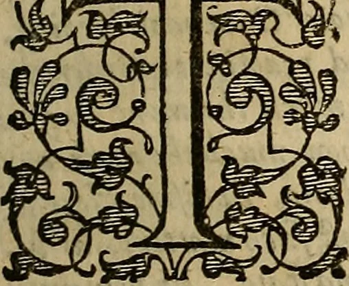 An illustration from A support for the sinking heart in times of distresse : or, A sermon preached in London, to uphold hope and allay feare, January 4th, which was a day of great trouble and deepe danger in the city, 1642, leaf 292