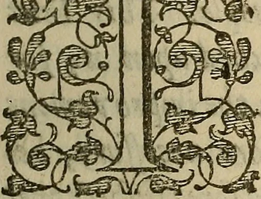 An illustration from A support for the sinking heart in times of distresse : or, A sermon preached in London, to uphold hope and allay feare, January 4th, which was a day of great trouble and deepe danger in the city, 1642, leaf 80