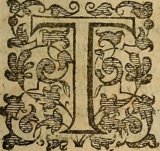 An illustration from A support for the sinking heart in times of distresse : or, A sermon preached in London, to uphold hope and allay feare, January 4th, which was a day of great trouble and deepe danger in the city, 1642, leaf 86