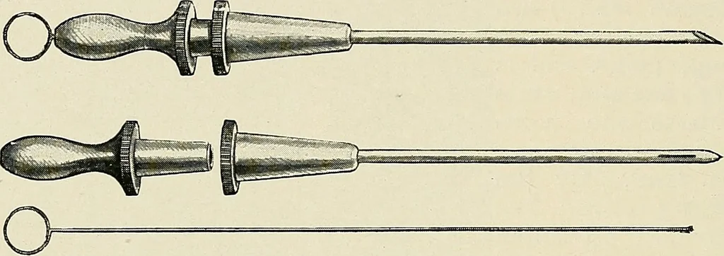 An illustration from Surgery of the lung, 1913, leaf 191