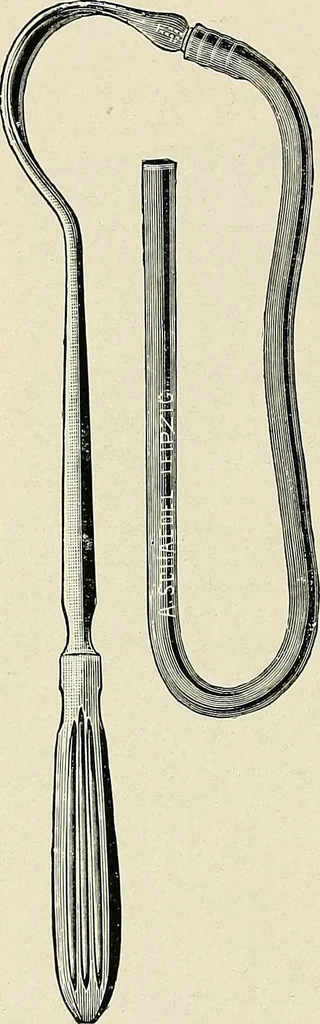 An illustration from Surgery of the lung, 1913, leaf 207