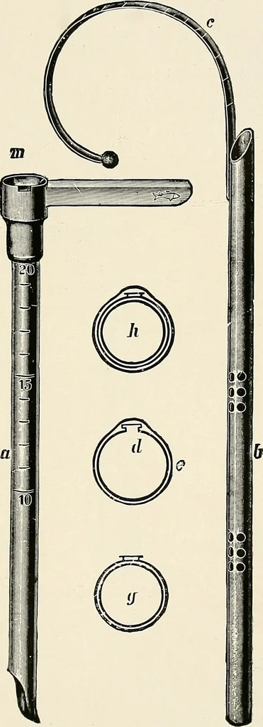 An illustration from Surgery of the lung, 1913, leaf 240