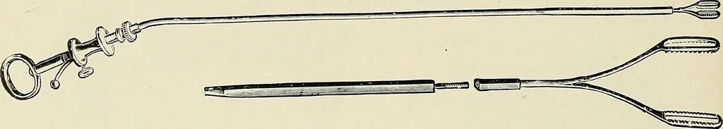 An illustration from Surgery of the lung, 1913, leaf 241