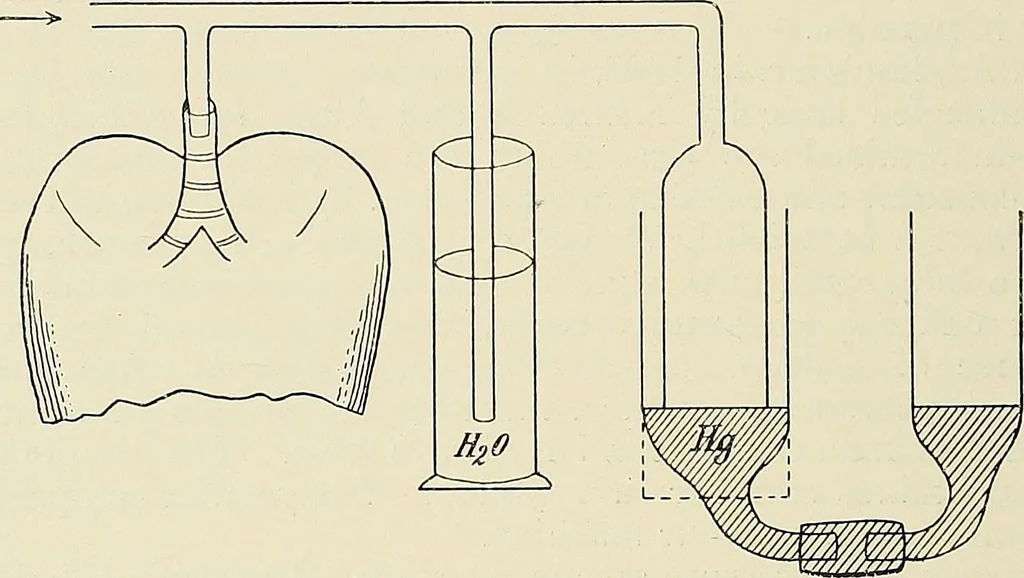 An illustration from Surgery of the lung, 1913, leaf 63