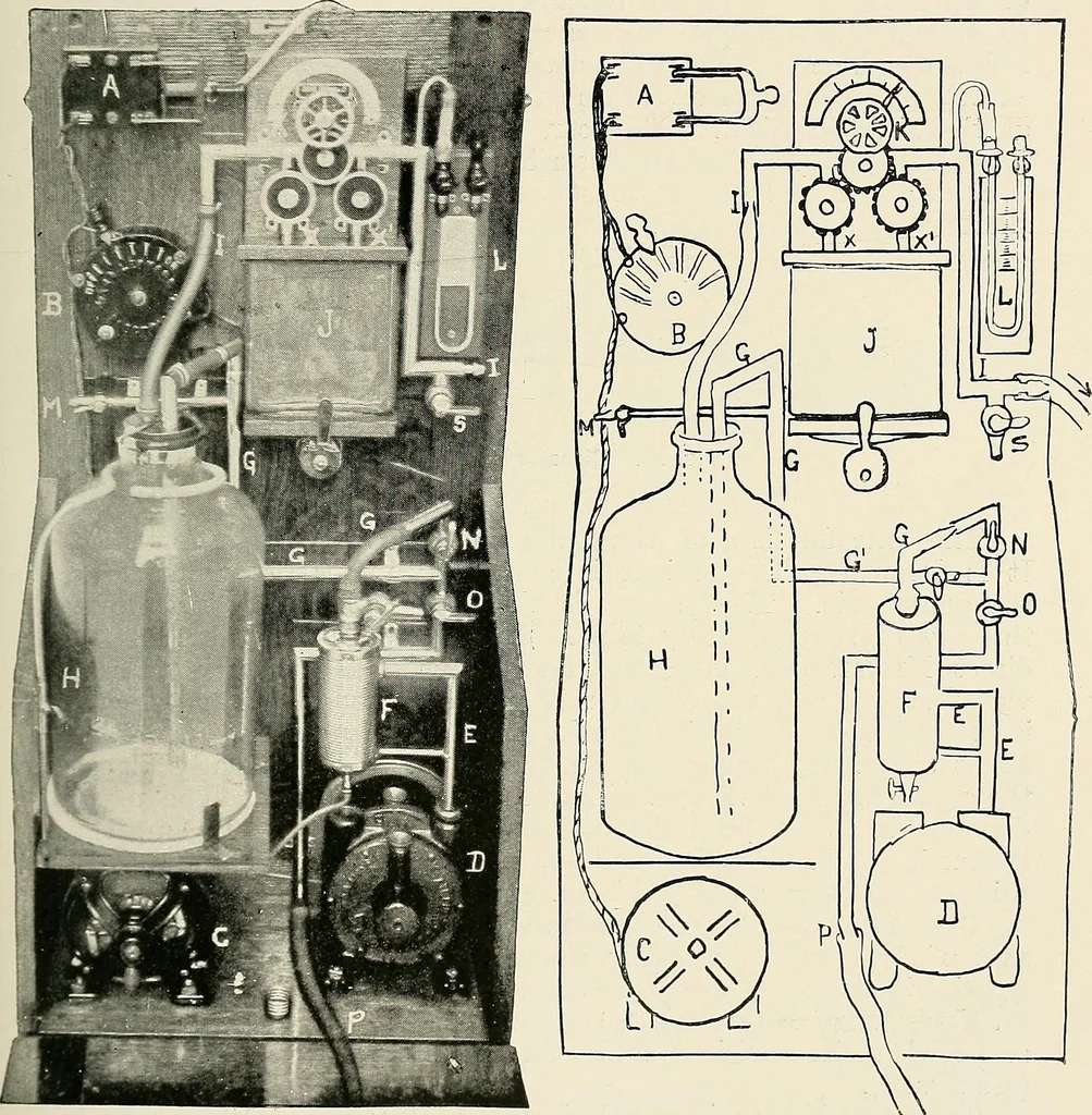 An illustration from Surgery of the lung, 1913, leaf 64