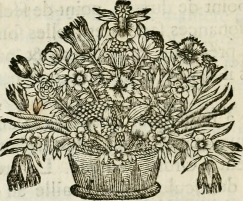 An illustration from Essai sur l'architecture, 1755, leaf 133