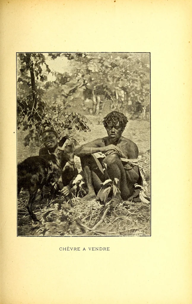 An illustration from Sur le Haut-Zambèze; voyages et travaux de mission, 1899, leaf 241