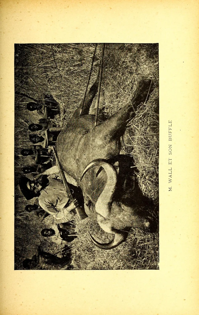 An illustration from Sur le Haut-Zambèze; voyages et travaux de mission, 1899, leaf 485